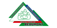 Flag for Beaumont