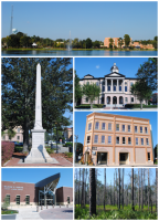 Top, left to right: Lake De Soto, Battle of Olustee monument, Columbia County Courthouse, City Hall, Florida Gateway College, Osceola National Forest