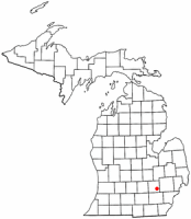 Location of Brighton, Michigan